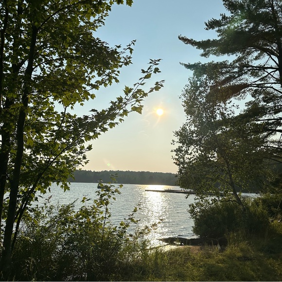 Meet your Posher, Vanessa - Picture 1 of 1